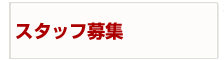 スタッフ募集